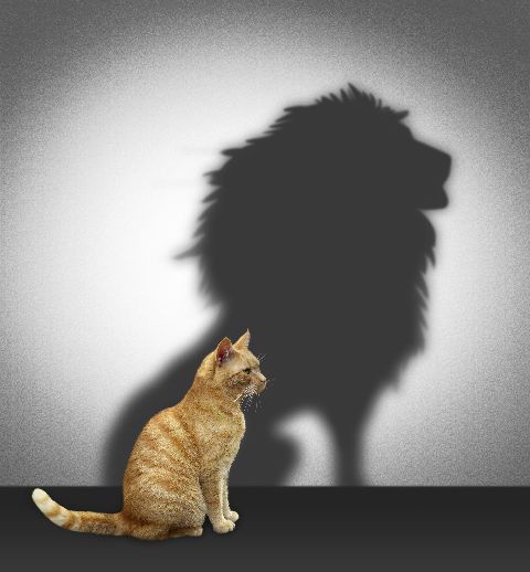 be strong be strong