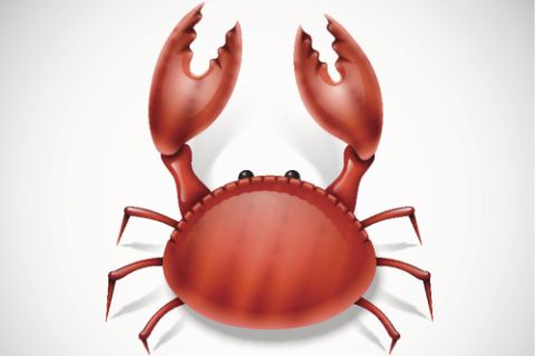 crab crab