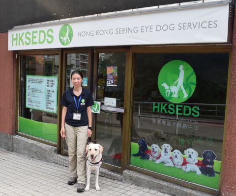 走過香港大地 導盲犬訓練員育成4階段 Ctgoodjobs Powered By Career Times