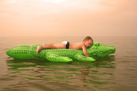 kind crocodile kind crocodile