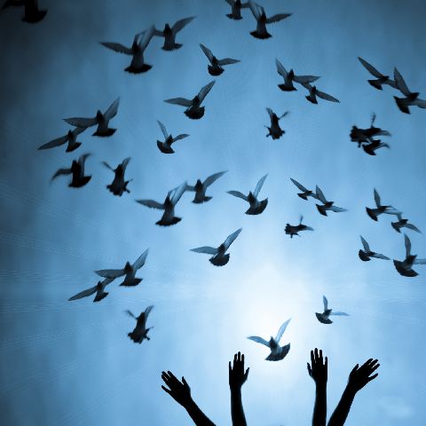 kind of freedom kind of freedom