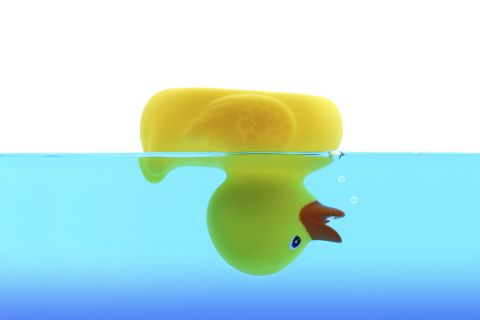 rubber duck rubber duck