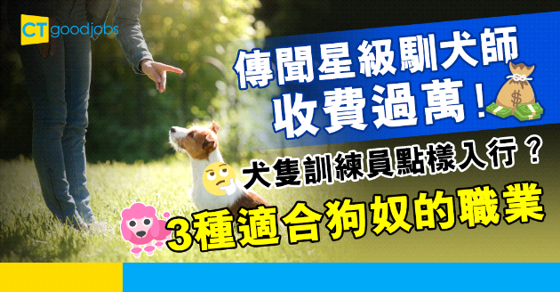 【動物工作│課程及人工一覽】寵物美容師、獸醫助護、犬隻訓練員入行必睇！投身動物相關工作指南