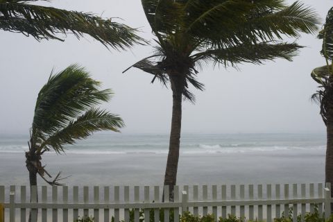 typhoon typhoon